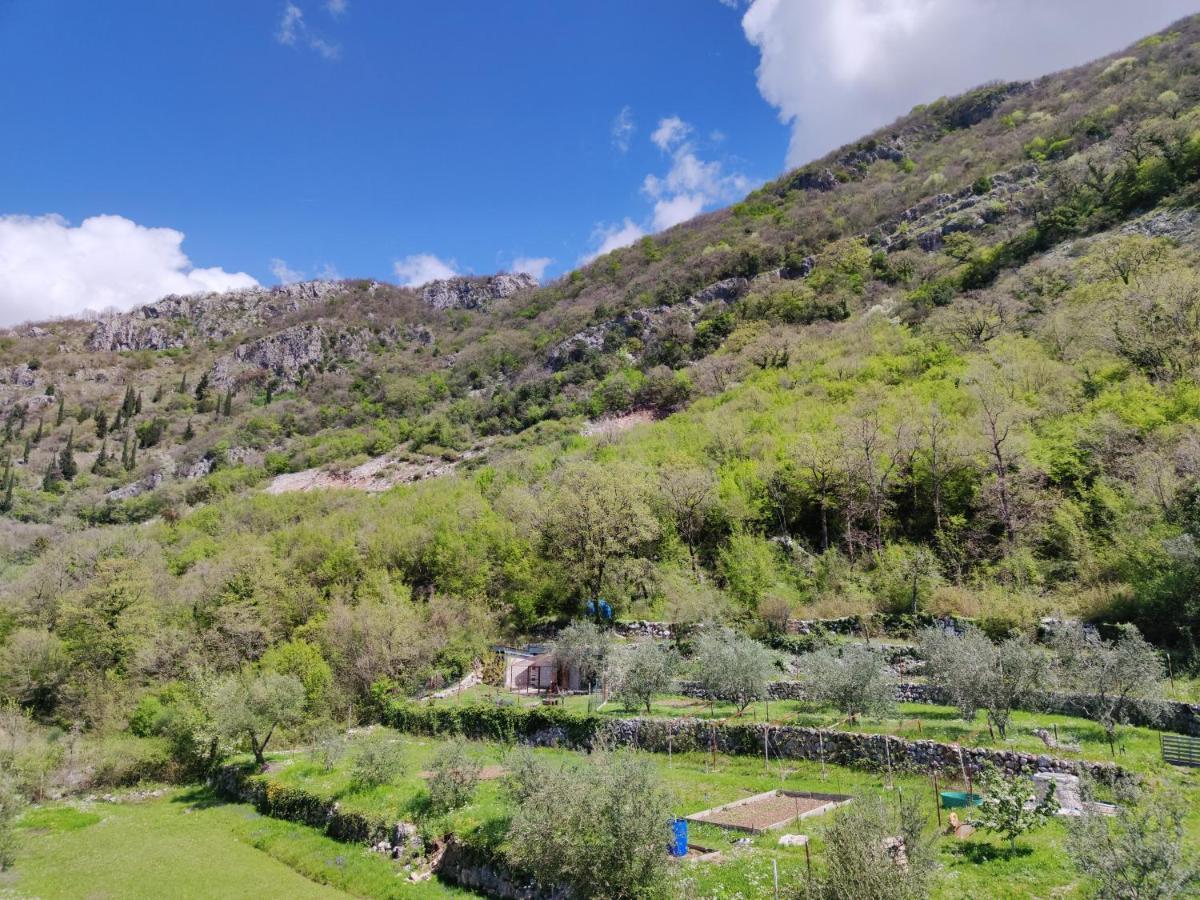 Forest Apartments Kotor Eksteriør billede