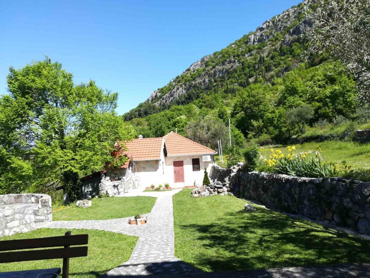 Forest Apartments Kotor Eksteriør billede